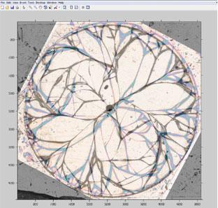 Semitransparent overlay of two fracture pattern images created using the MATLAB