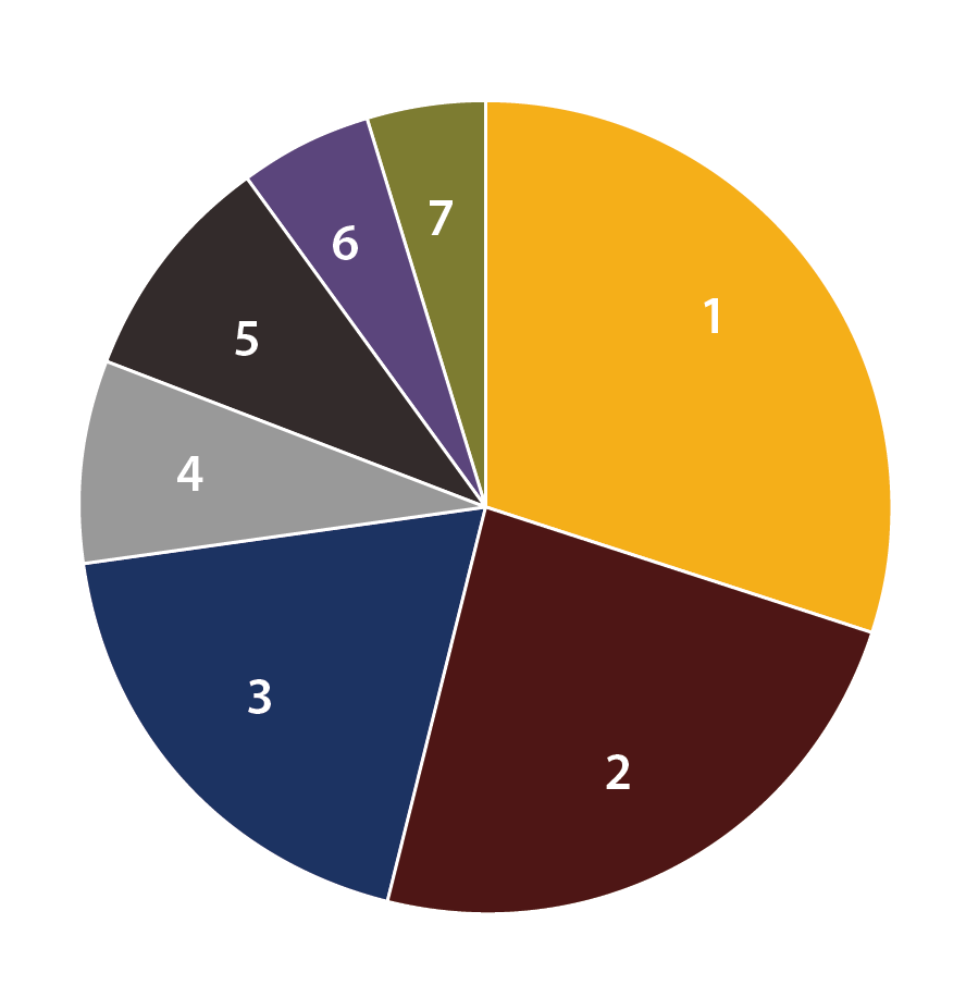 pie chart illustrating the percentages of NSSPI students (data follows)